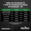 Cronograma da 1ª fase de vacinação contra a covid-19 Cronograma da 1ª fase de vacinação contra a covid-19