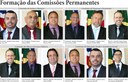 Vereadores de Ariranha formam comissões para 2021-2022 Vereadores de Ariranha formam comissões para 2021-2022